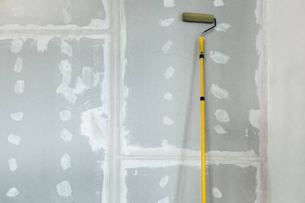 Best Water-Damaged Drywall Repair  in Suncoast Estates, FL