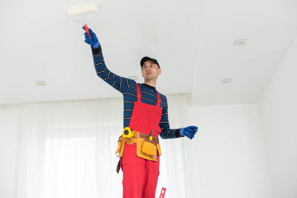 Best Trim and Molding Painting  in Suncoast Estates, FL